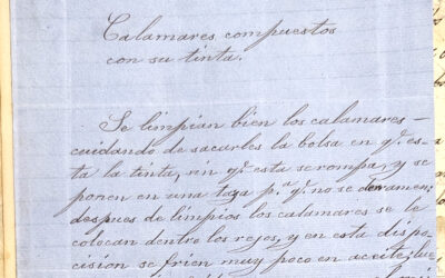 Calamares compuestos con su tinta